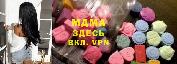 индика Богородск