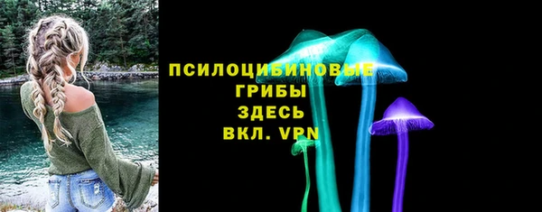 индика Богородск