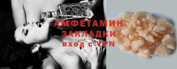 индика Богородск