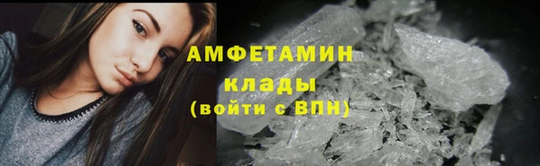 индика Богородск