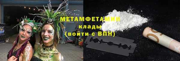 индика Богородск
